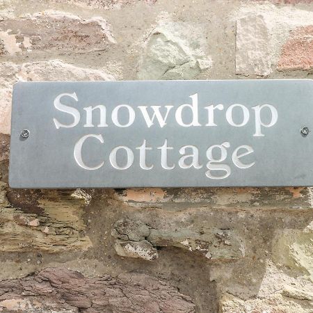 Snowdrop Cottage Laugharne Zewnętrze zdjęcie