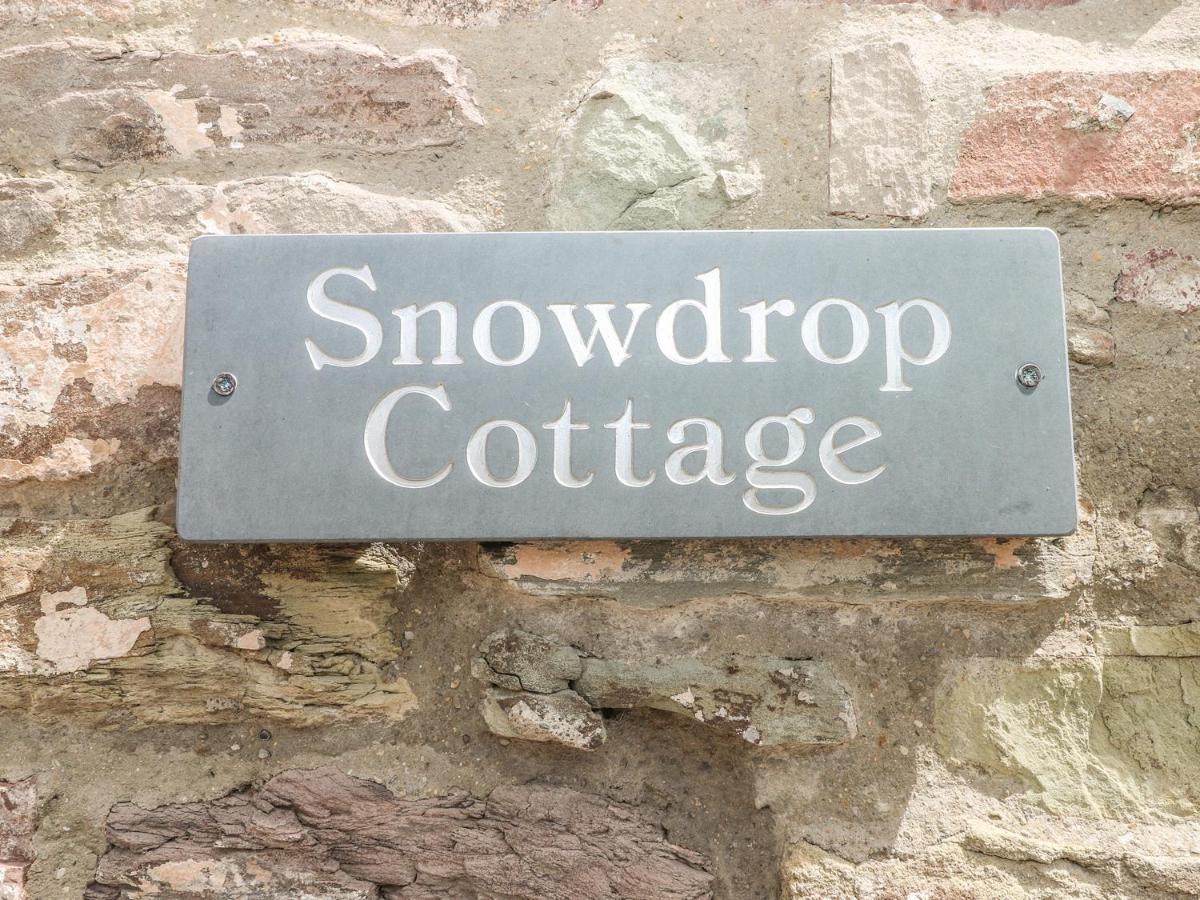 Snowdrop Cottage Laugharne Zewnętrze zdjęcie